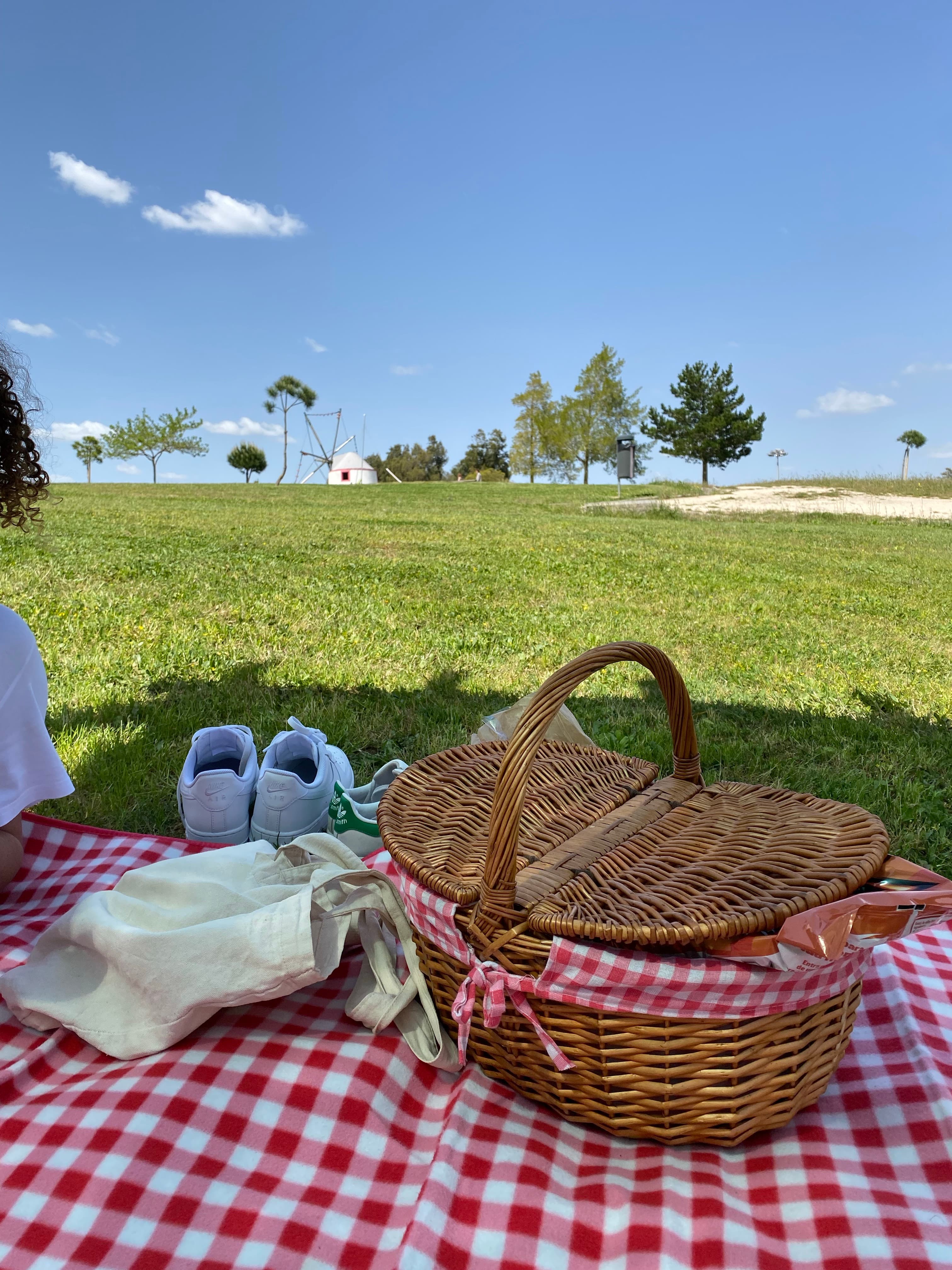 Summer picnic